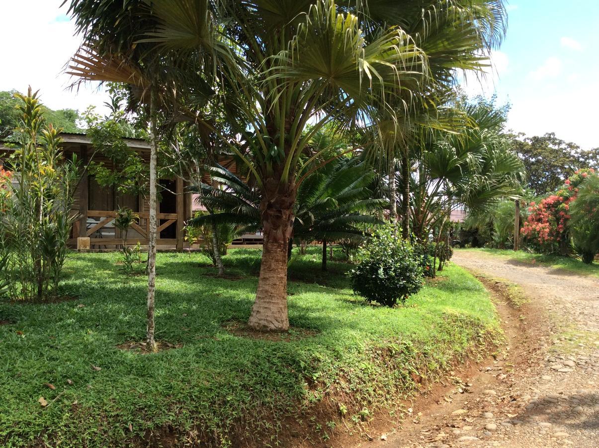 Pedacito De Cielo Lodge Boca Tapada